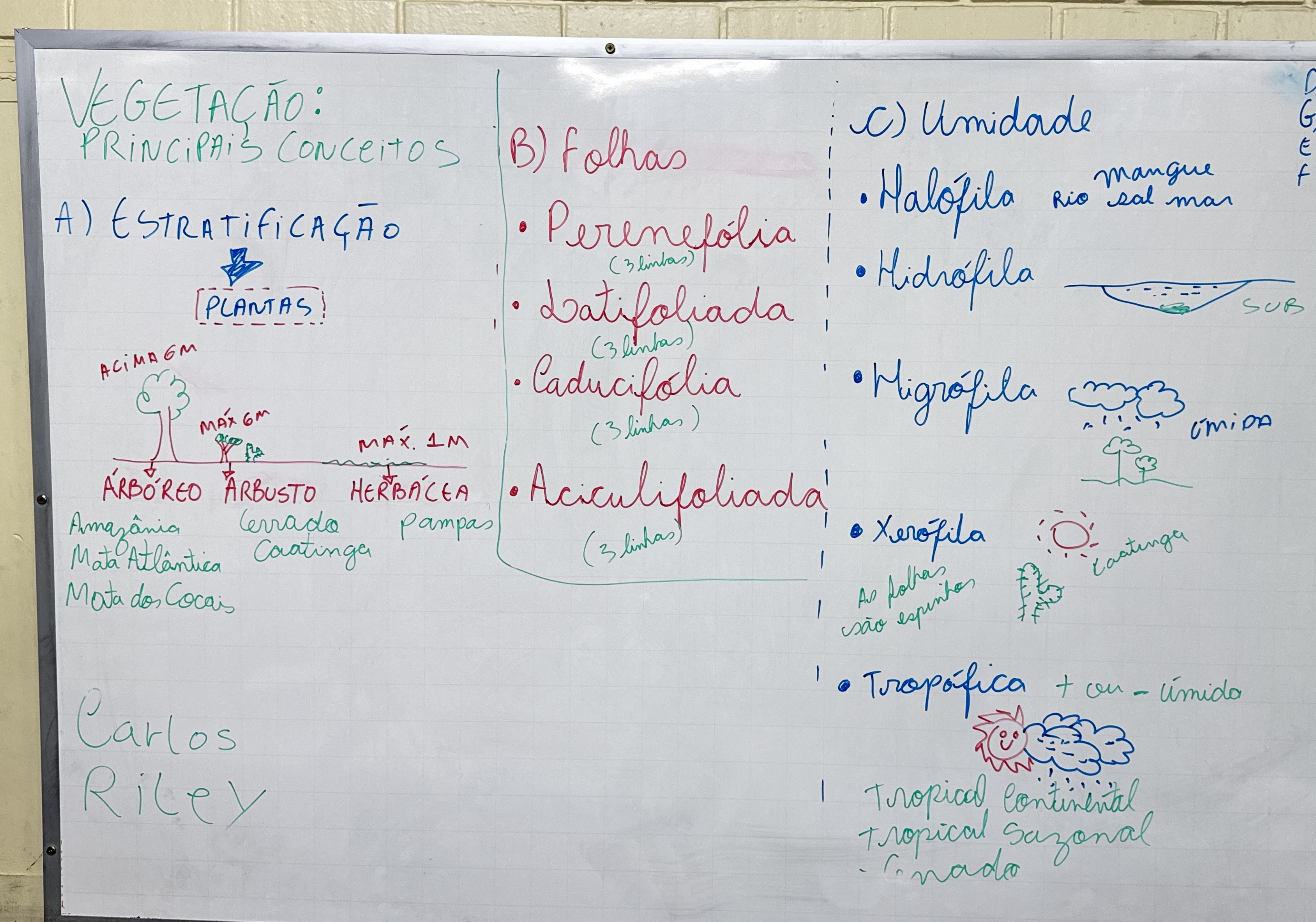 Copiar Texto: Cerrado