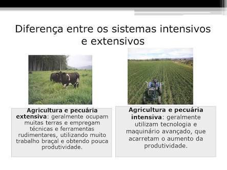 Revisão Pecuária Extensiva e Pecuária Intensiva